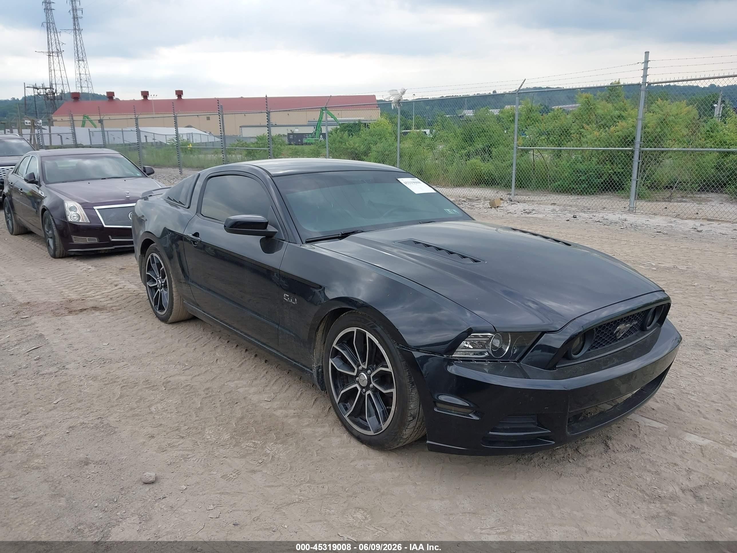 2013 Ford Mustang Gt Premium Black vin: 1ZVBP8CF4D5271359