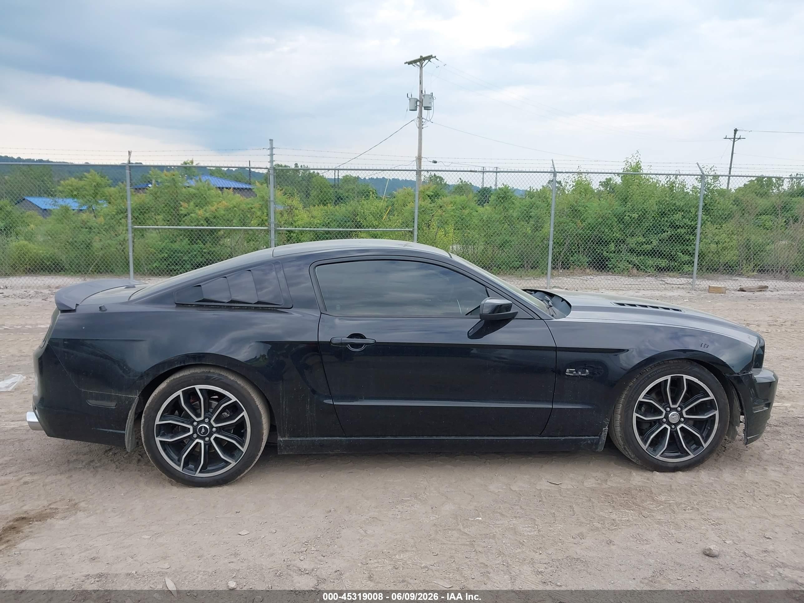 2013 Ford Mustang Gt Premium Black vin: 1ZVBP8CF4D5271359