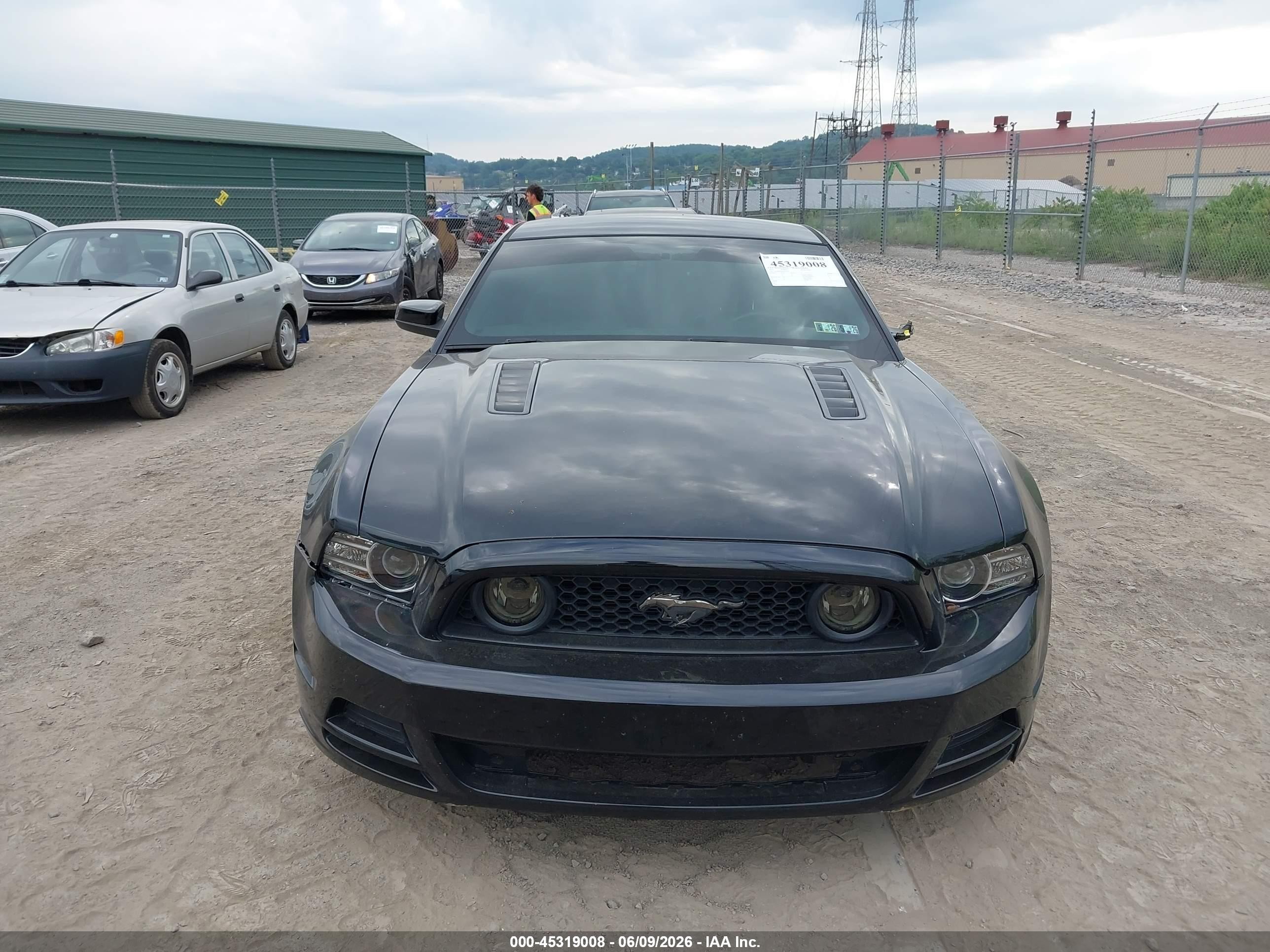 2013 Ford Mustang Gt Premium Black vin: 1ZVBP8CF4D5271359