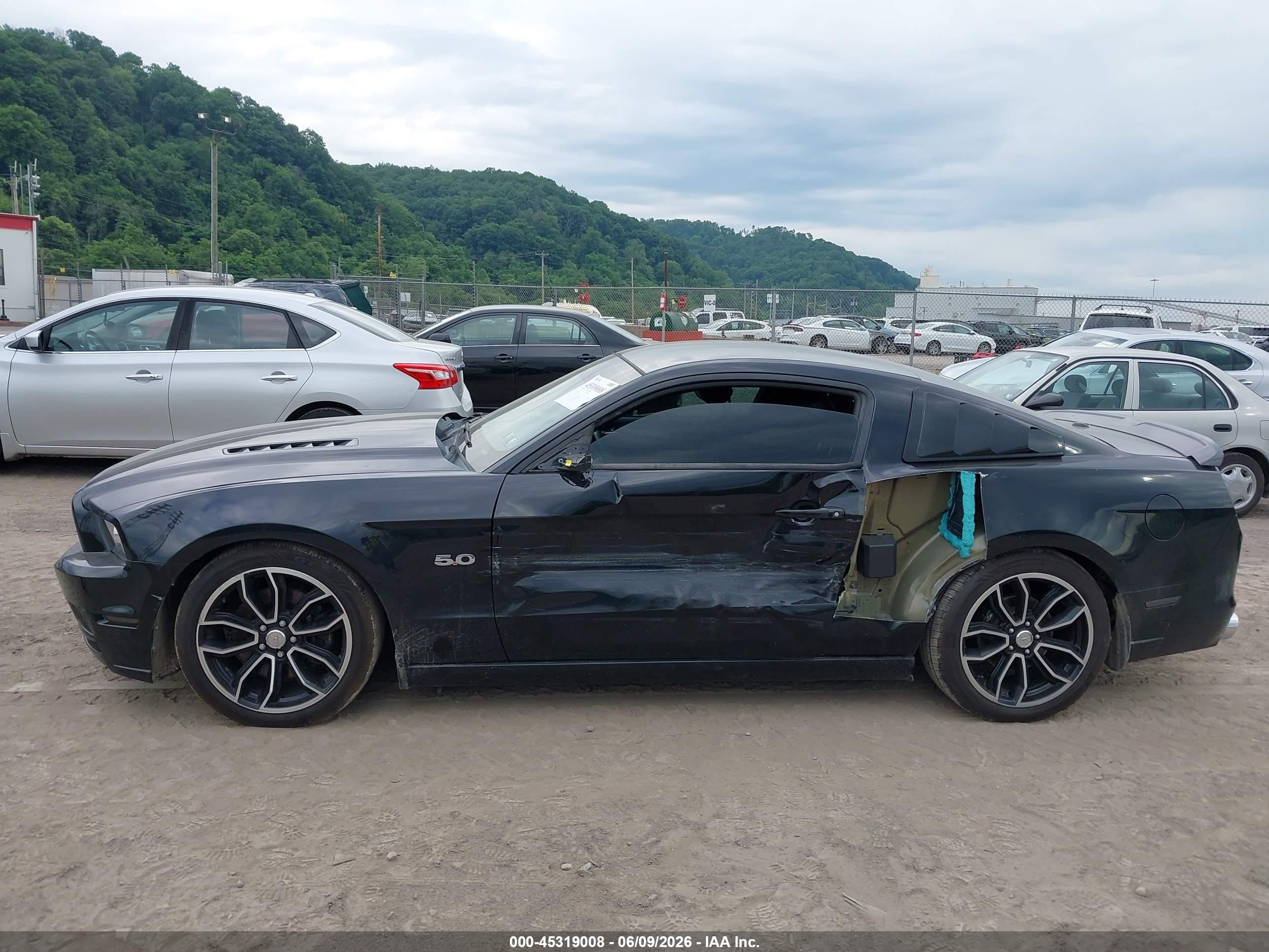 2013 Ford Mustang Gt Premium Black vin: 1ZVBP8CF4D5271359