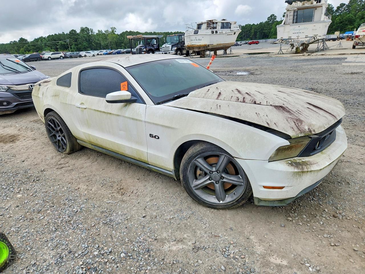 2011 Ford Mustang Gt White vin: 1ZVBP8CF5B5132791