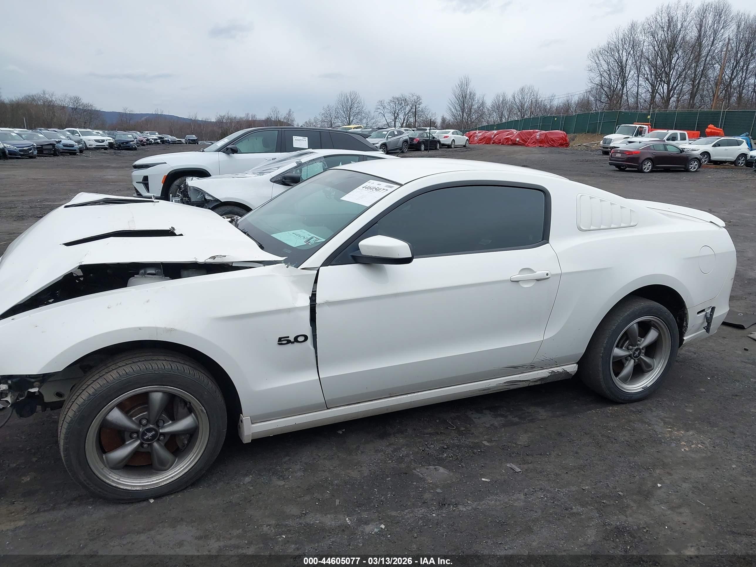 2013 Ford Mustang Gt Premium White vin: 1ZVBP8CF5D5209307