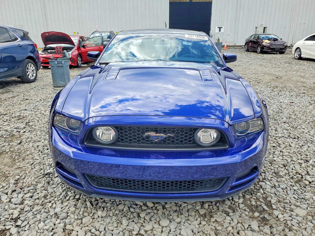 2014 Ford Mustang Gt Blue vin: 1ZVBP8CF5E5251736