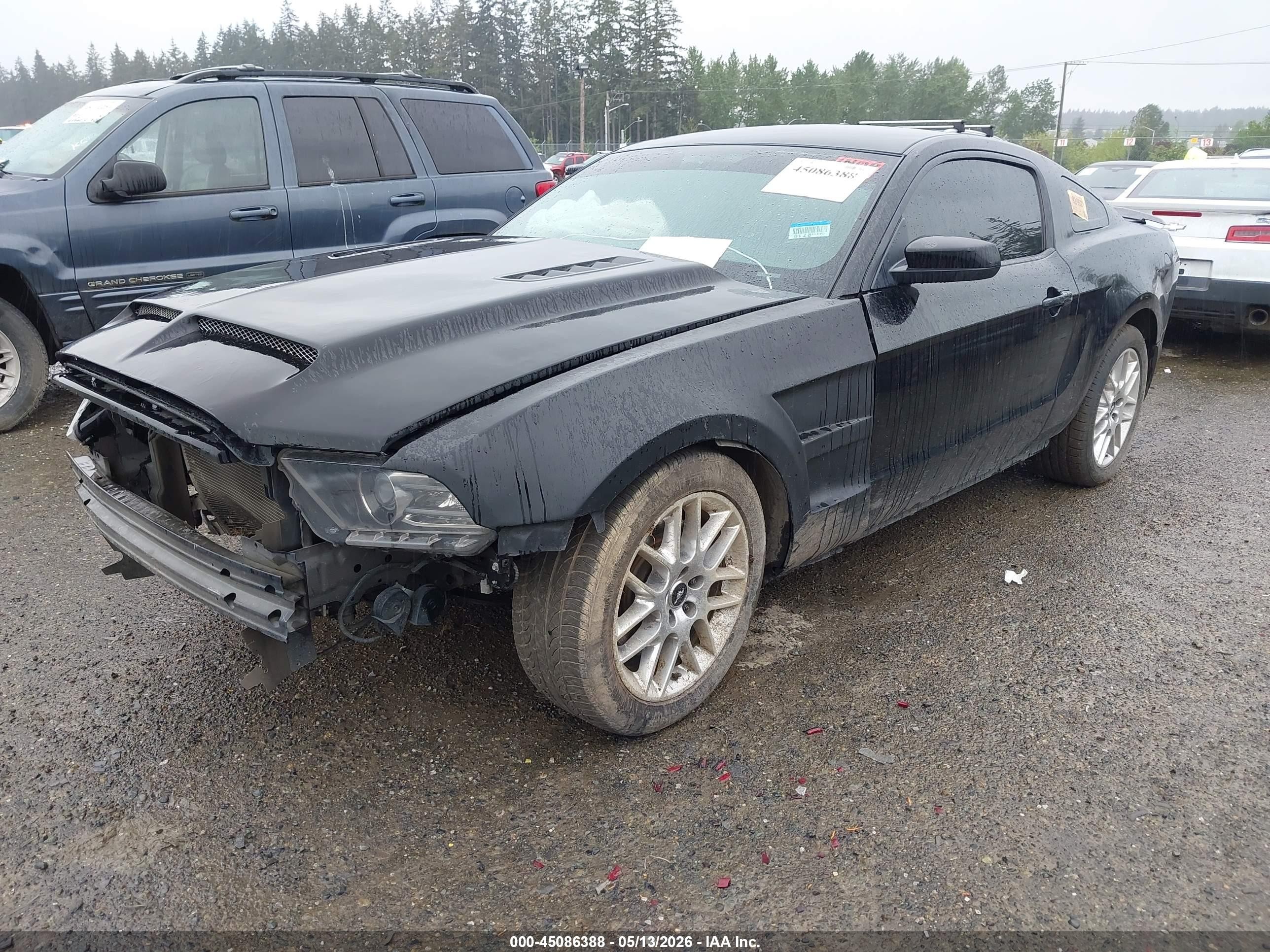 2014 Ford Mustang Gt Black vin: 1ZVBP8CF5E5255088