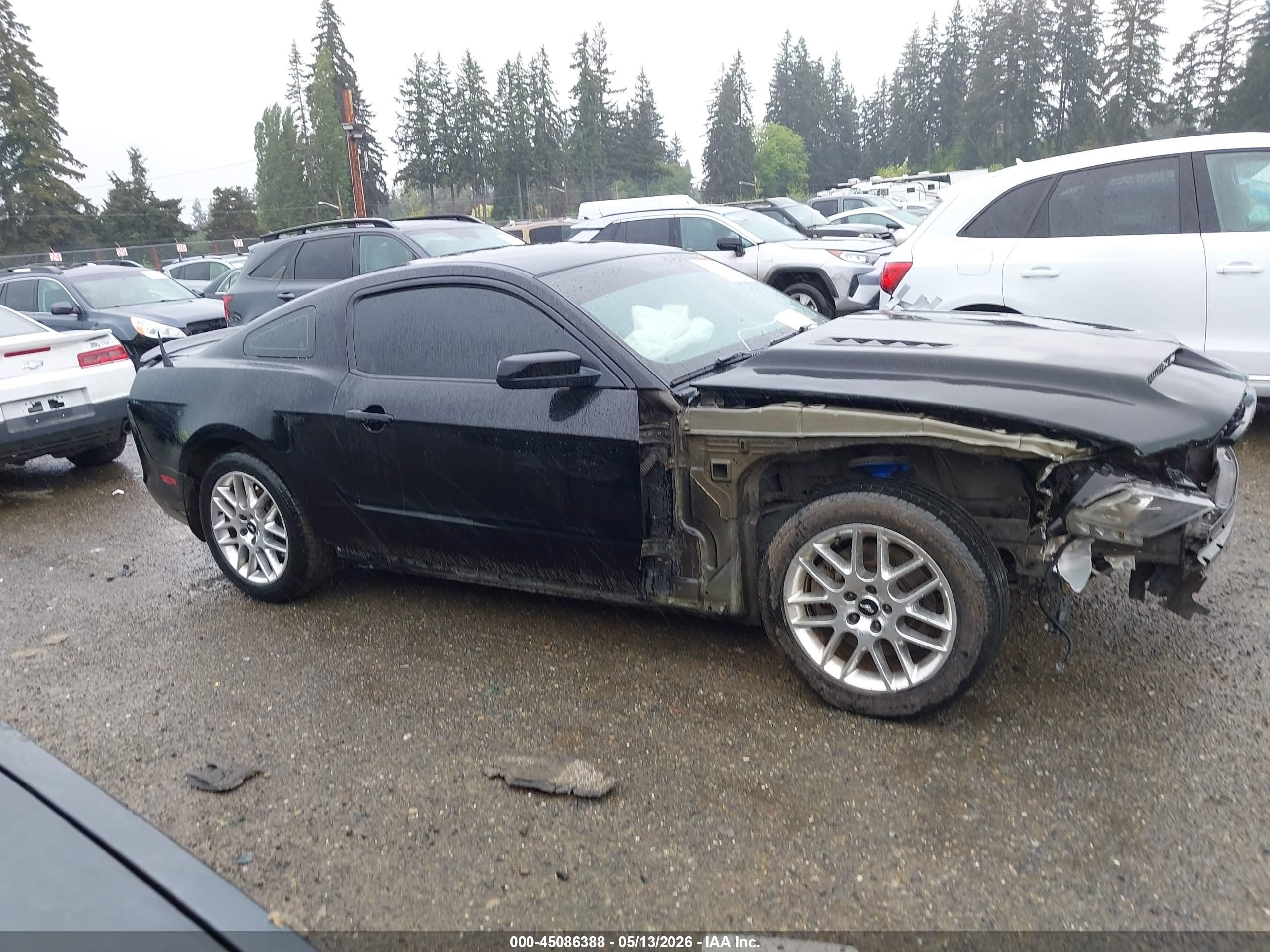 2014 Ford Mustang Gt Black vin: 1ZVBP8CF5E5255088
