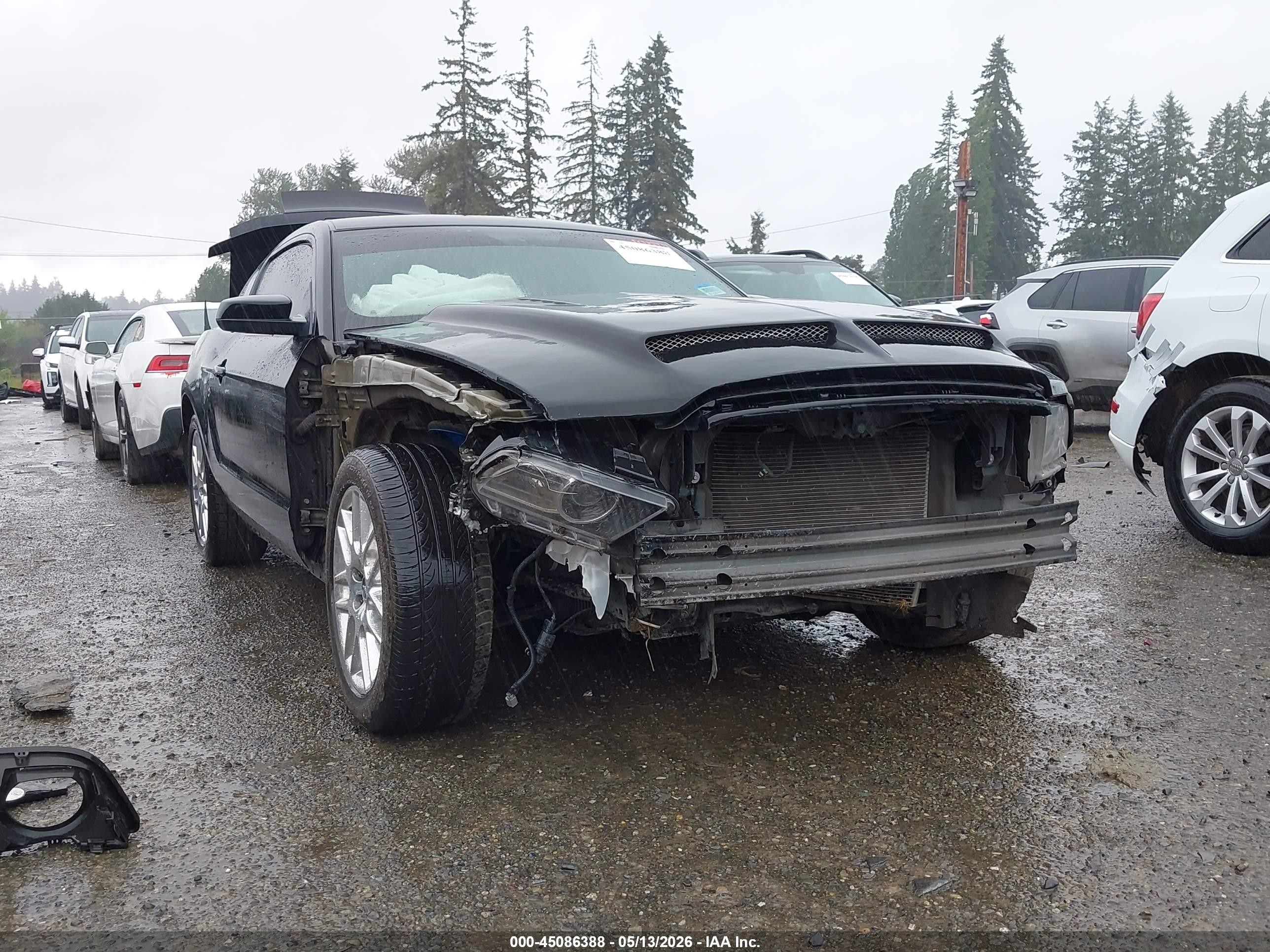 2014 Ford Mustang Gt Black vin: 1ZVBP8CF5E5255088