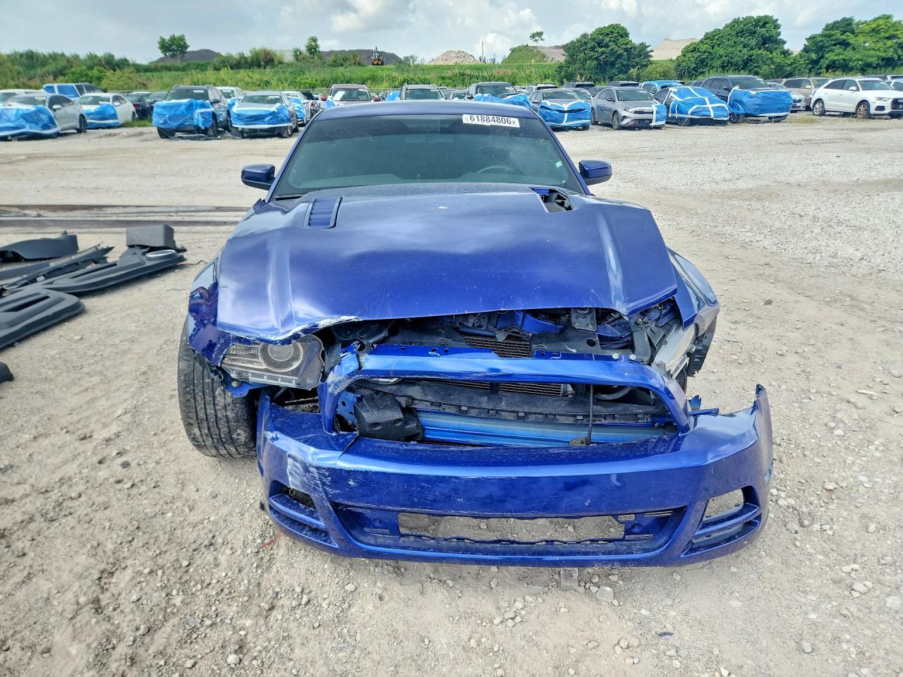 2014 Ford Mustang Gt Blue vin: 1ZVBP8CF5E5259917