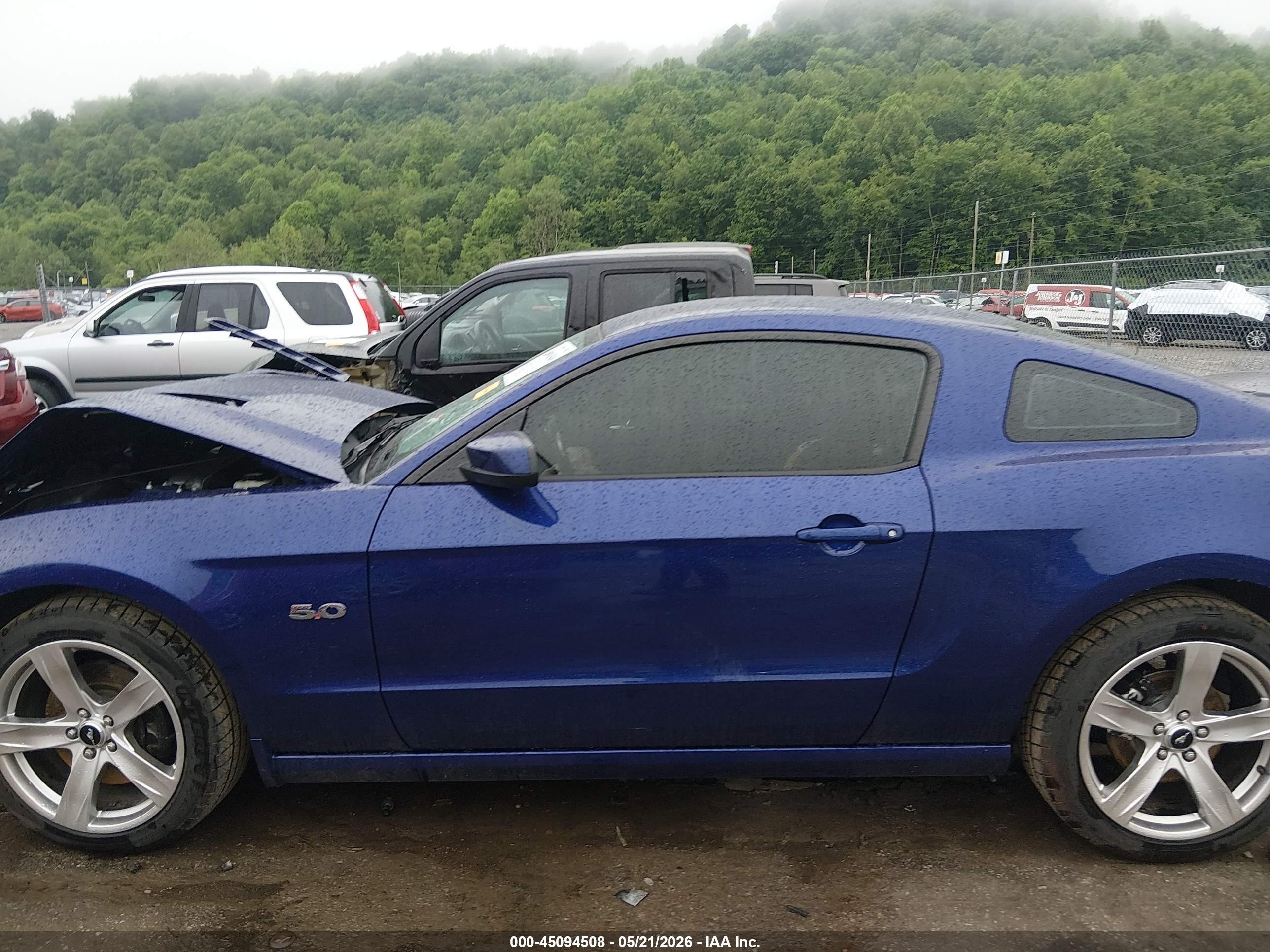 2014 Ford Mustang Gt Premium Blue vin: 1ZVBP8CF5E5306363