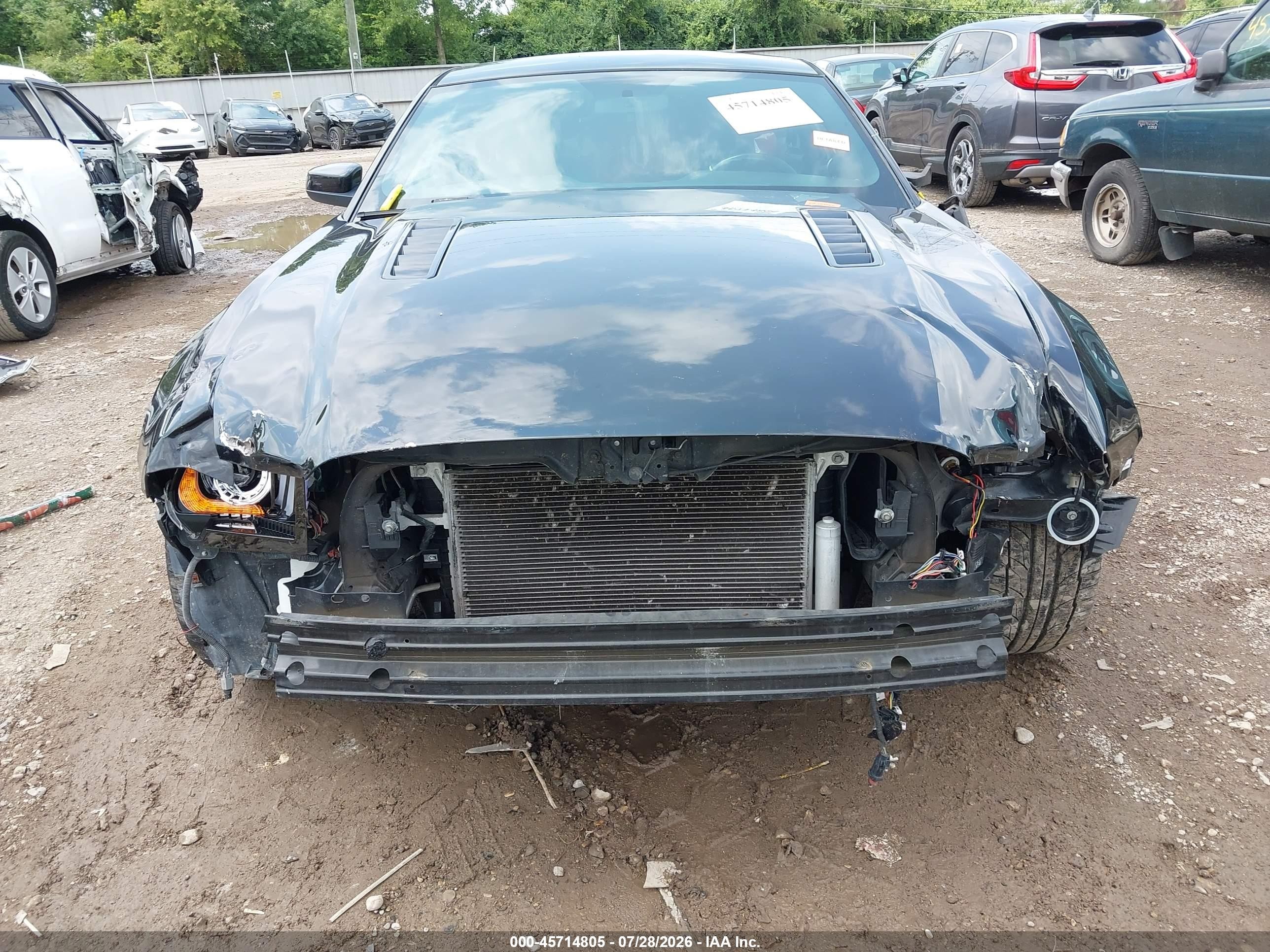 2011 Ford Mustang Gt Black vin: 1ZVBP8CF6B5110041