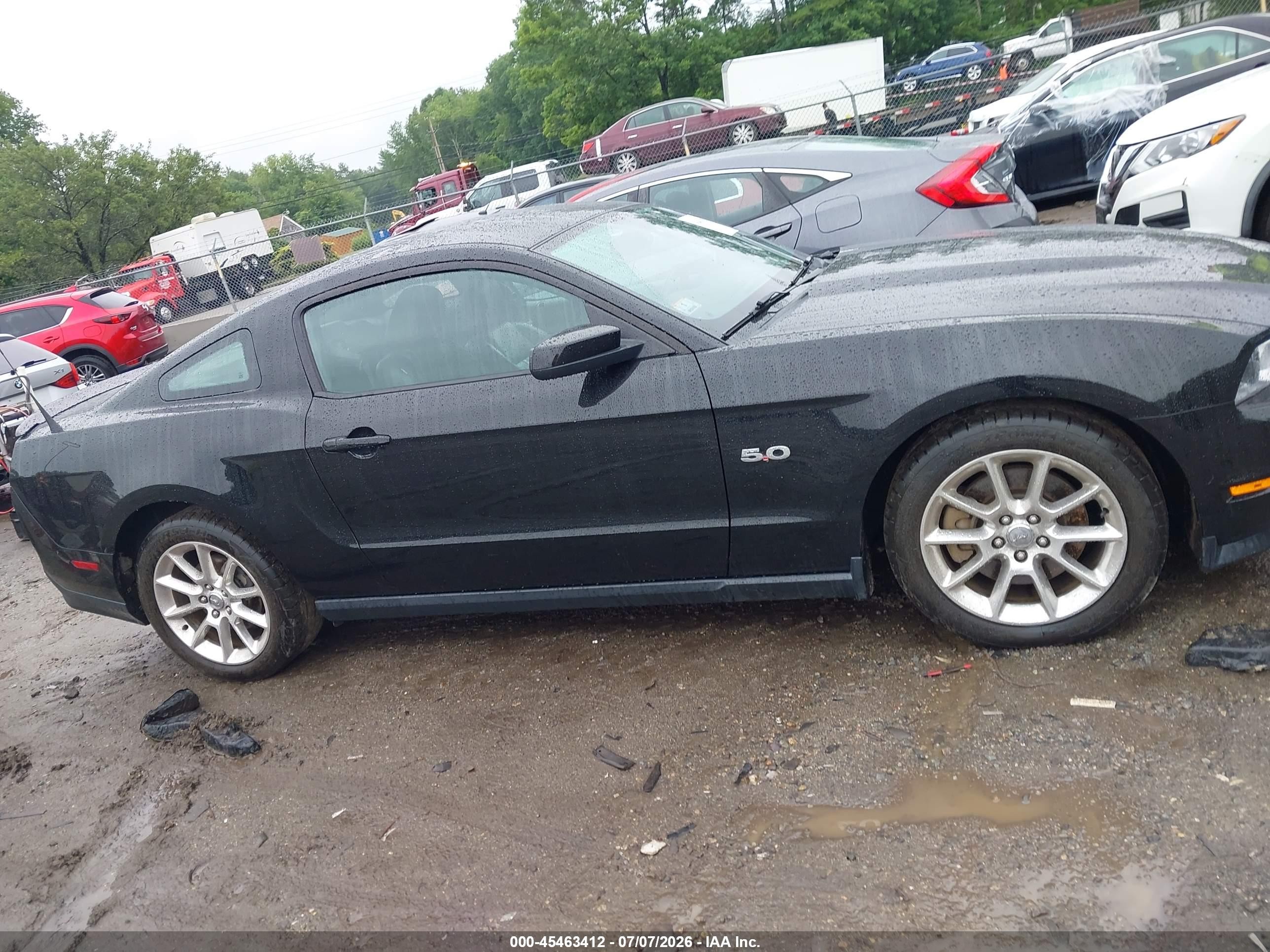 2011 Ford Mustang Gt/gt Premium Black vin: 1ZVBP8CF6B5121394