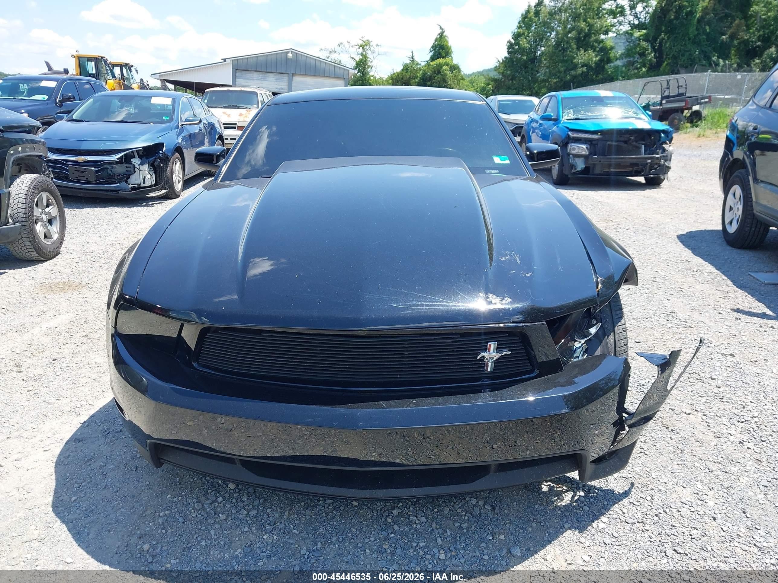 2011 Ford Mustang Gt/gt Premium Black vin: 1ZVBP8CF6B5142939
