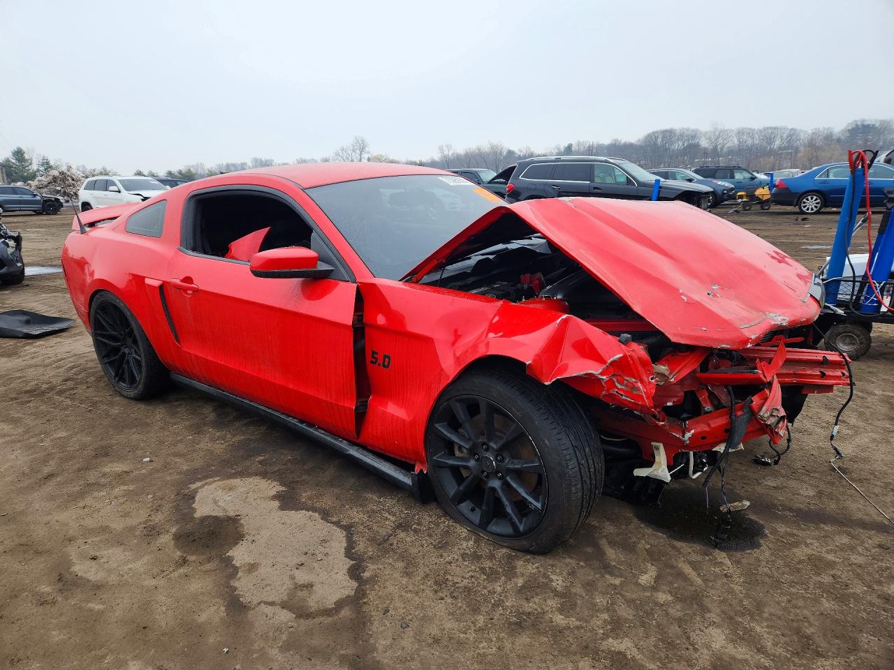 2012 Ford Mustang Gt Красный vin: 1ZVBP8CF6C5273578
