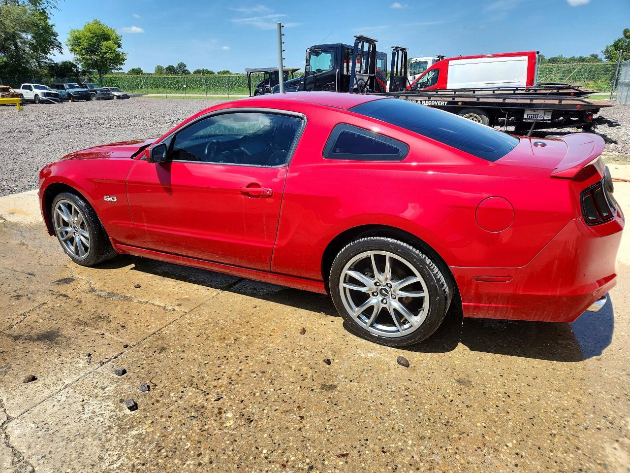 2013 Ford Mustang Gt Red vin: 1ZVBP8CF6D5245006