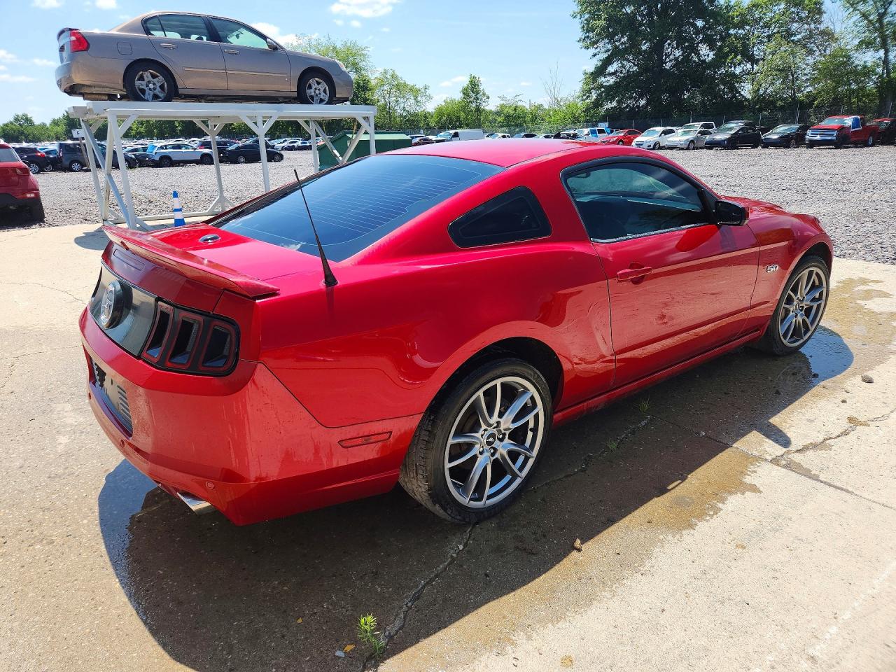 2013 Ford Mustang Gt Red vin: 1ZVBP8CF6D5245006