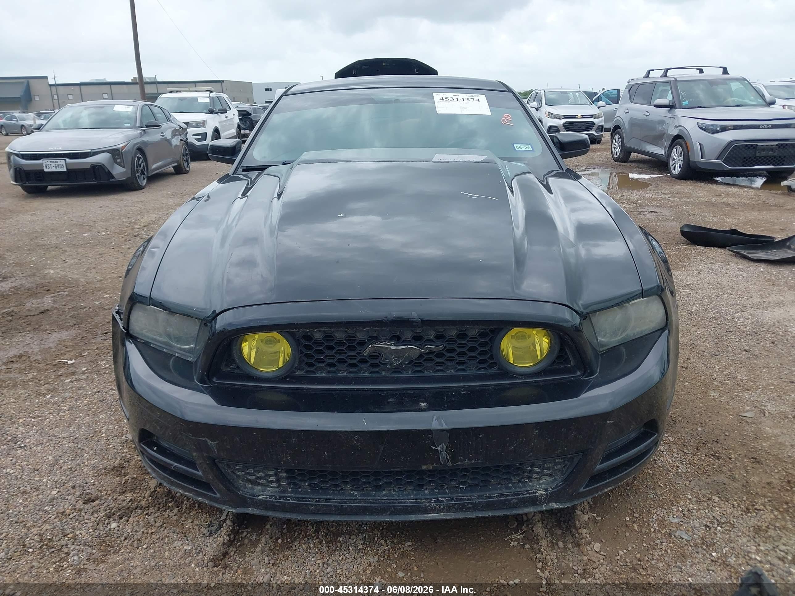 2013 Ford Mustang Gt Premium Black vin: 1ZVBP8CF6D5284307