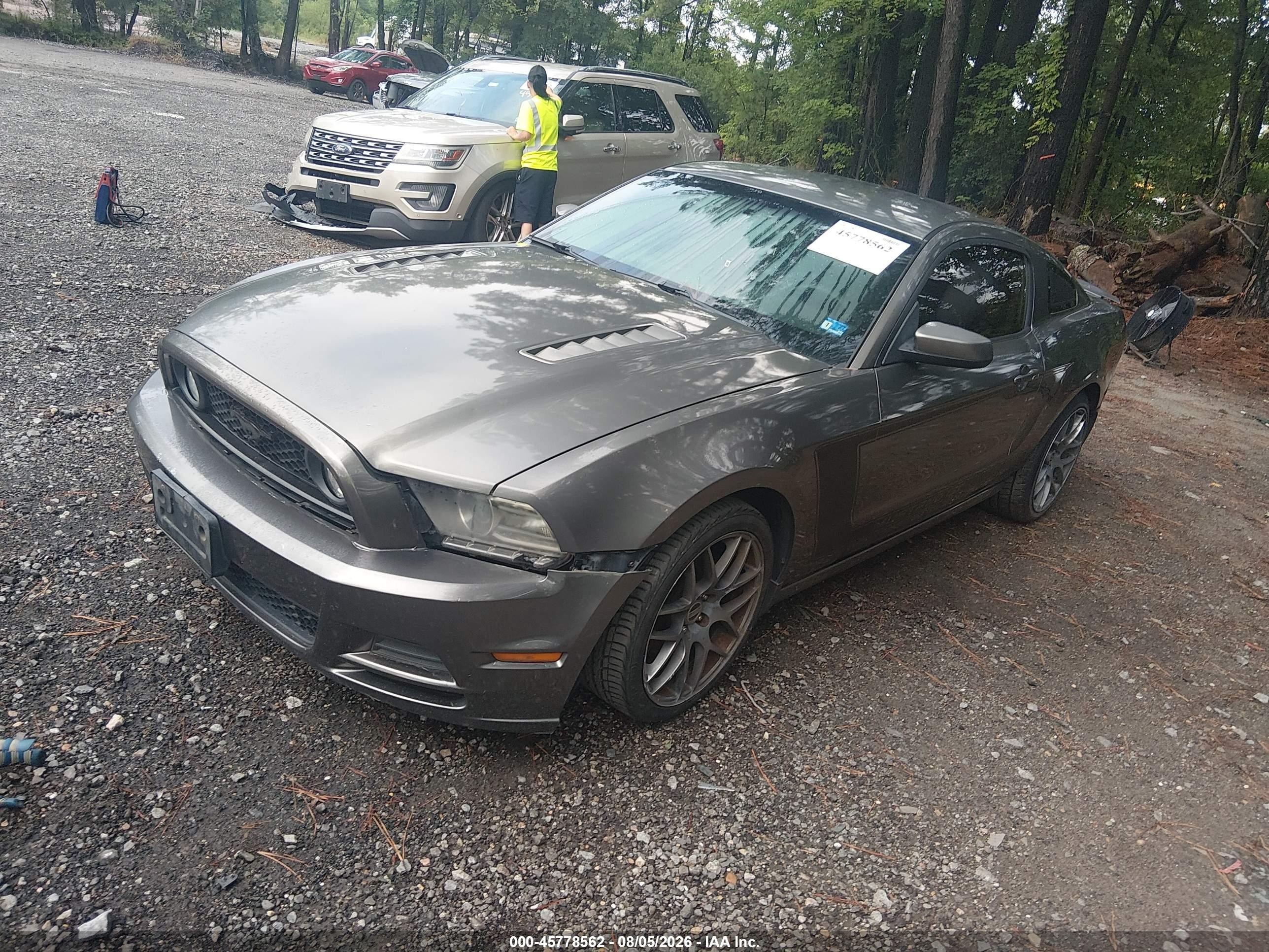 2014 Ford Mustang Gt vin: 1ZVBP8CF6E5262065