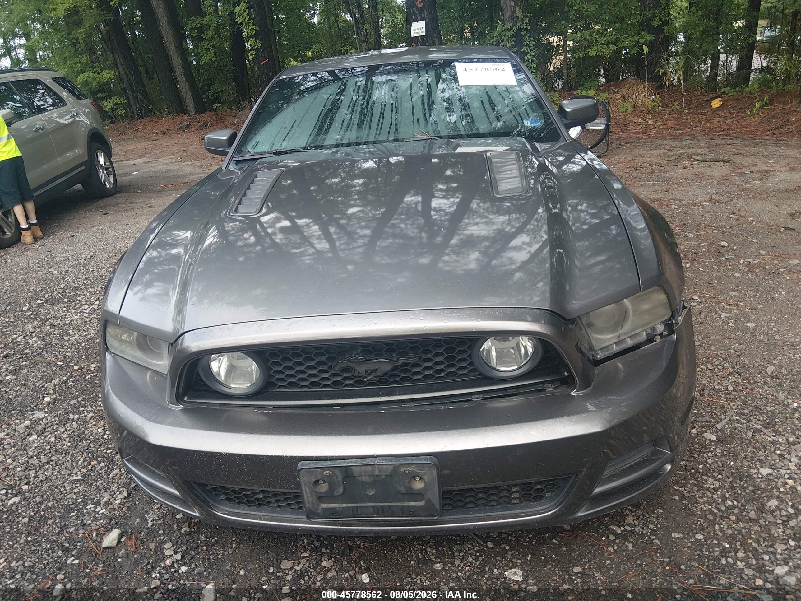 2014 Ford Mustang Gt vin: 1ZVBP8CF6E5262065