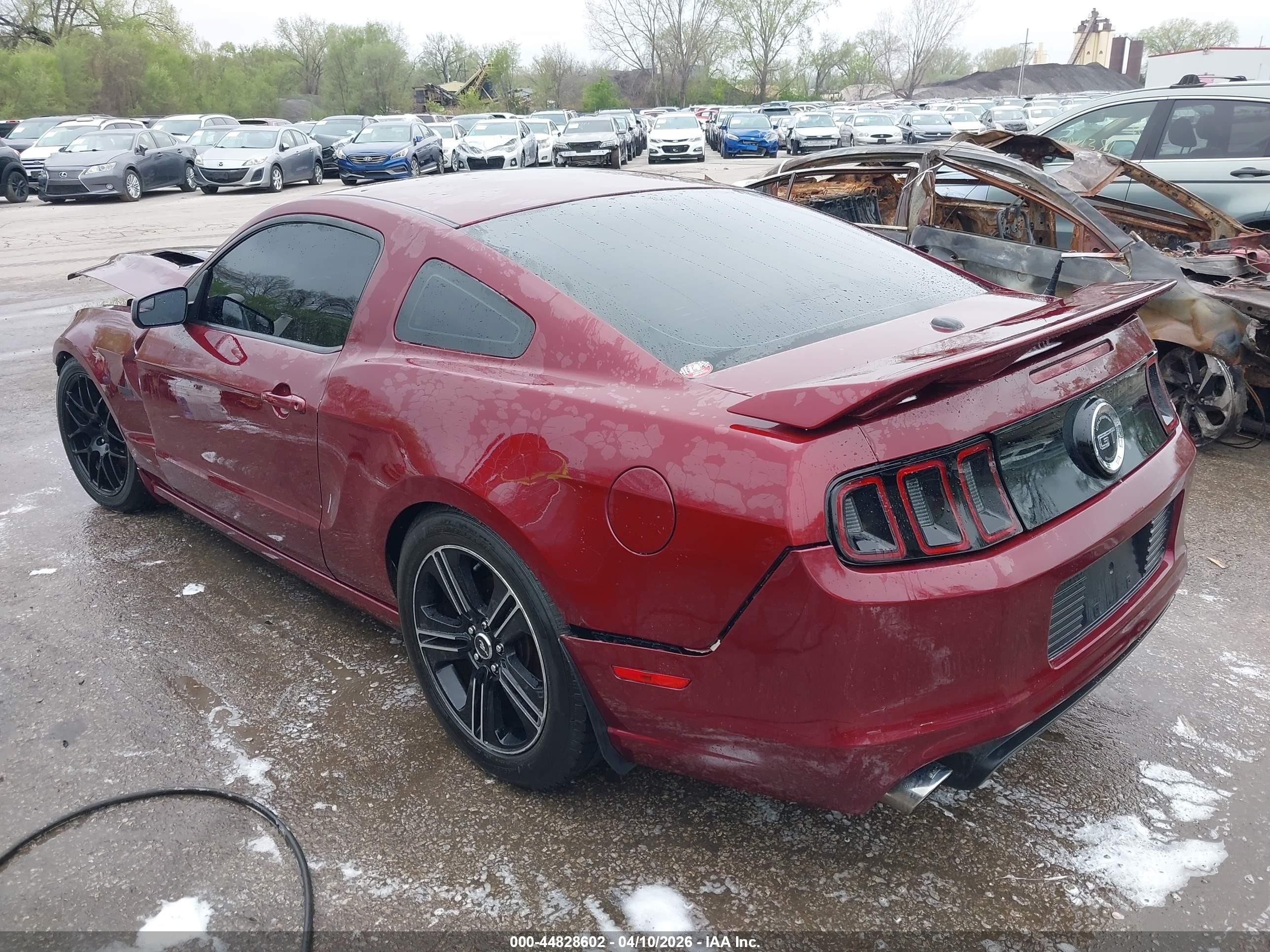 2014 Ford Mustang Gt Premium Red vin: 1ZVBP8CF7E5306395