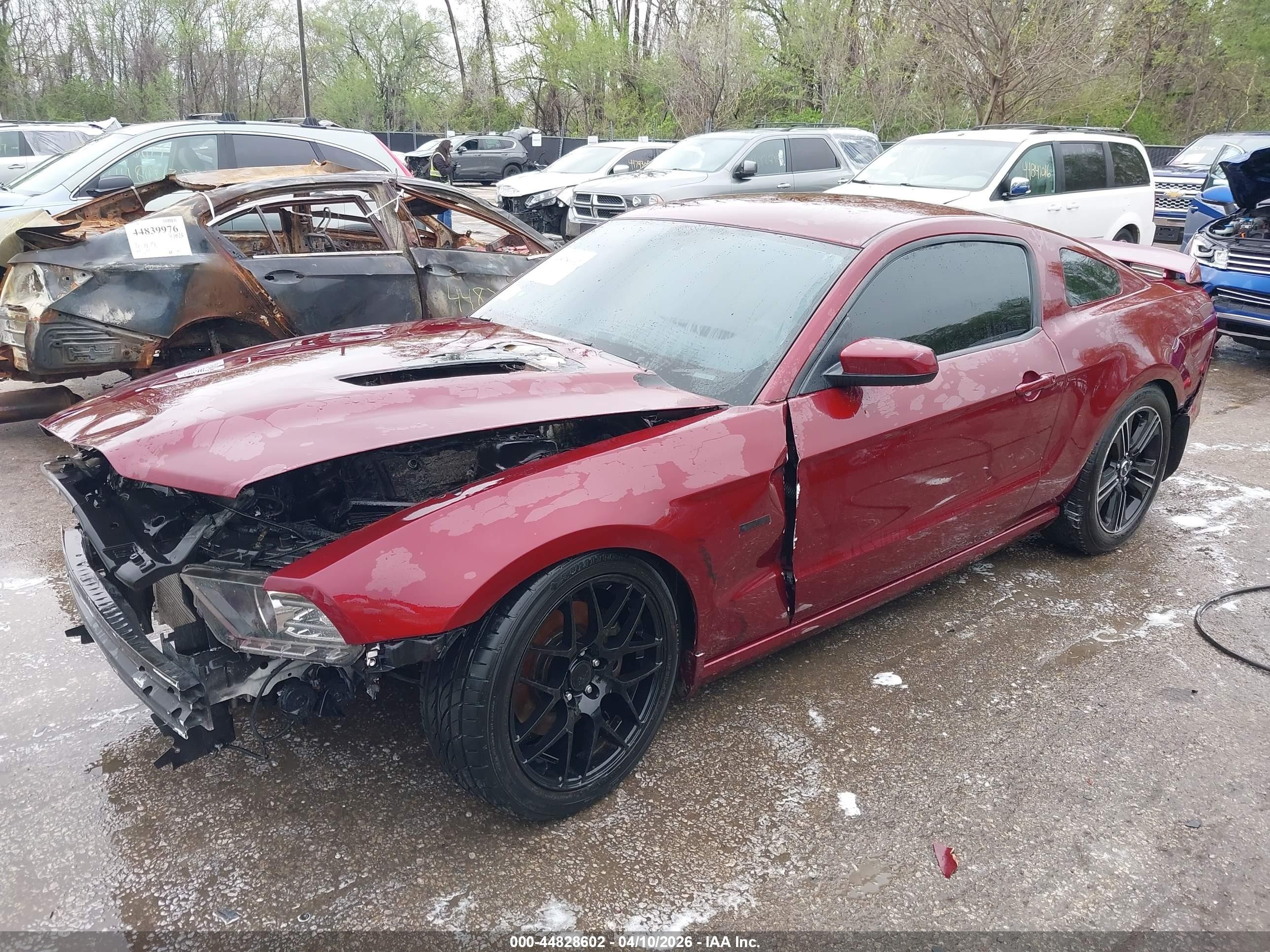 2014 Ford Mustang Gt Premium Red vin: 1ZVBP8CF7E5306395