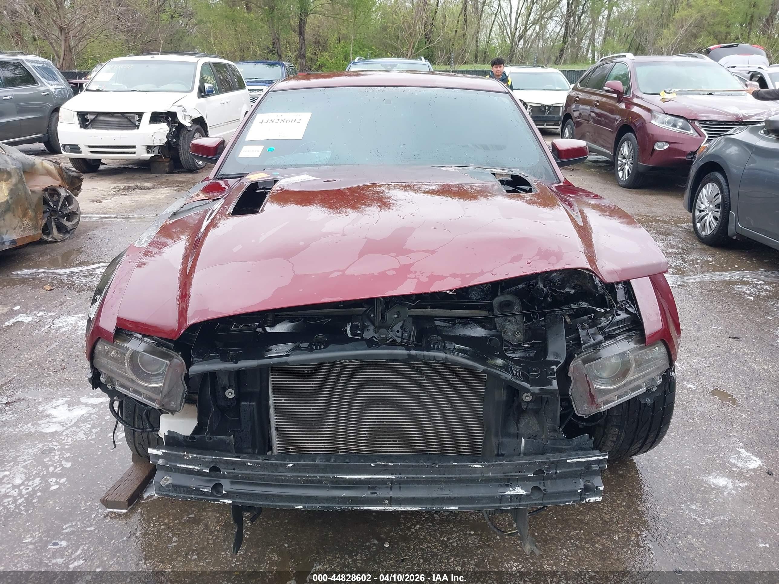 2014 Ford Mustang Gt Premium Red vin: 1ZVBP8CF7E5306395