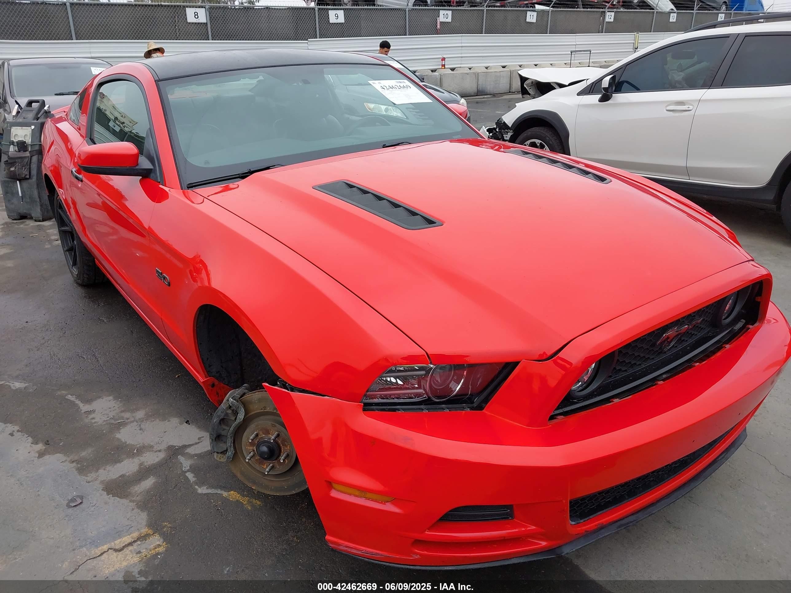 2013 Ford Mustang Gt Premium Red vin: 1ZVBP8CF9D5284785