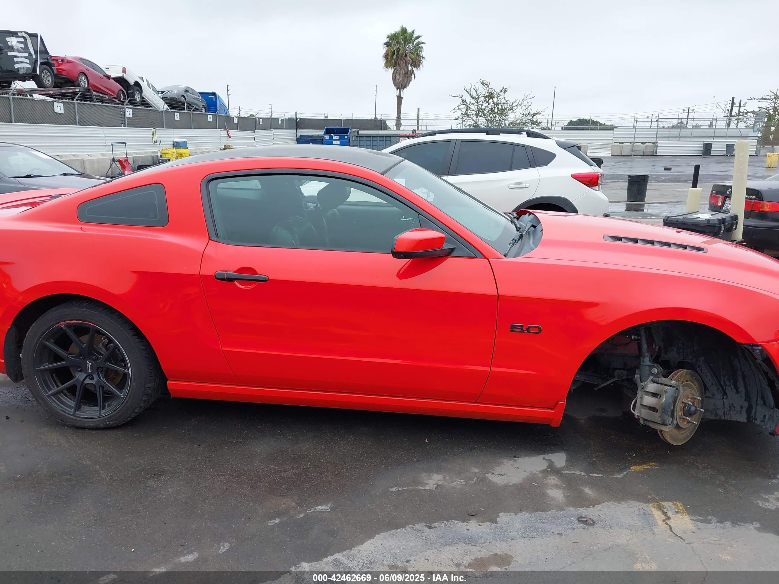 2013 Ford Mustang Gt Premium Red vin: 1ZVBP8CF9D5284785