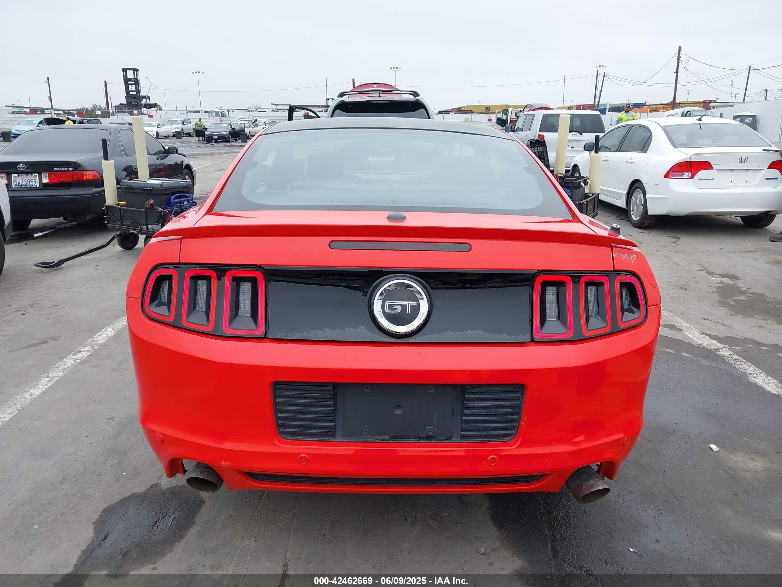 2013 Ford Mustang Gt Premium Red vin: 1ZVBP8CF9D5284785
