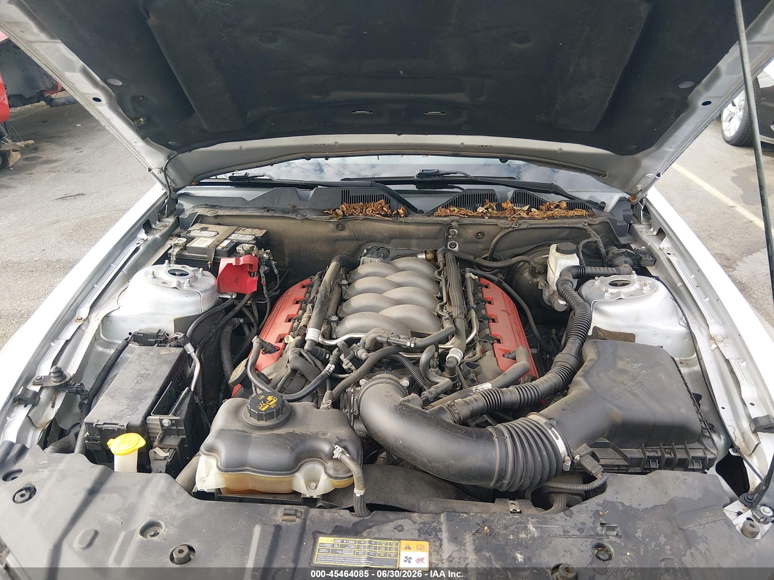 2014 Ford Mustang Gt Серебряный vin: 1ZVBP8CF9E5209604