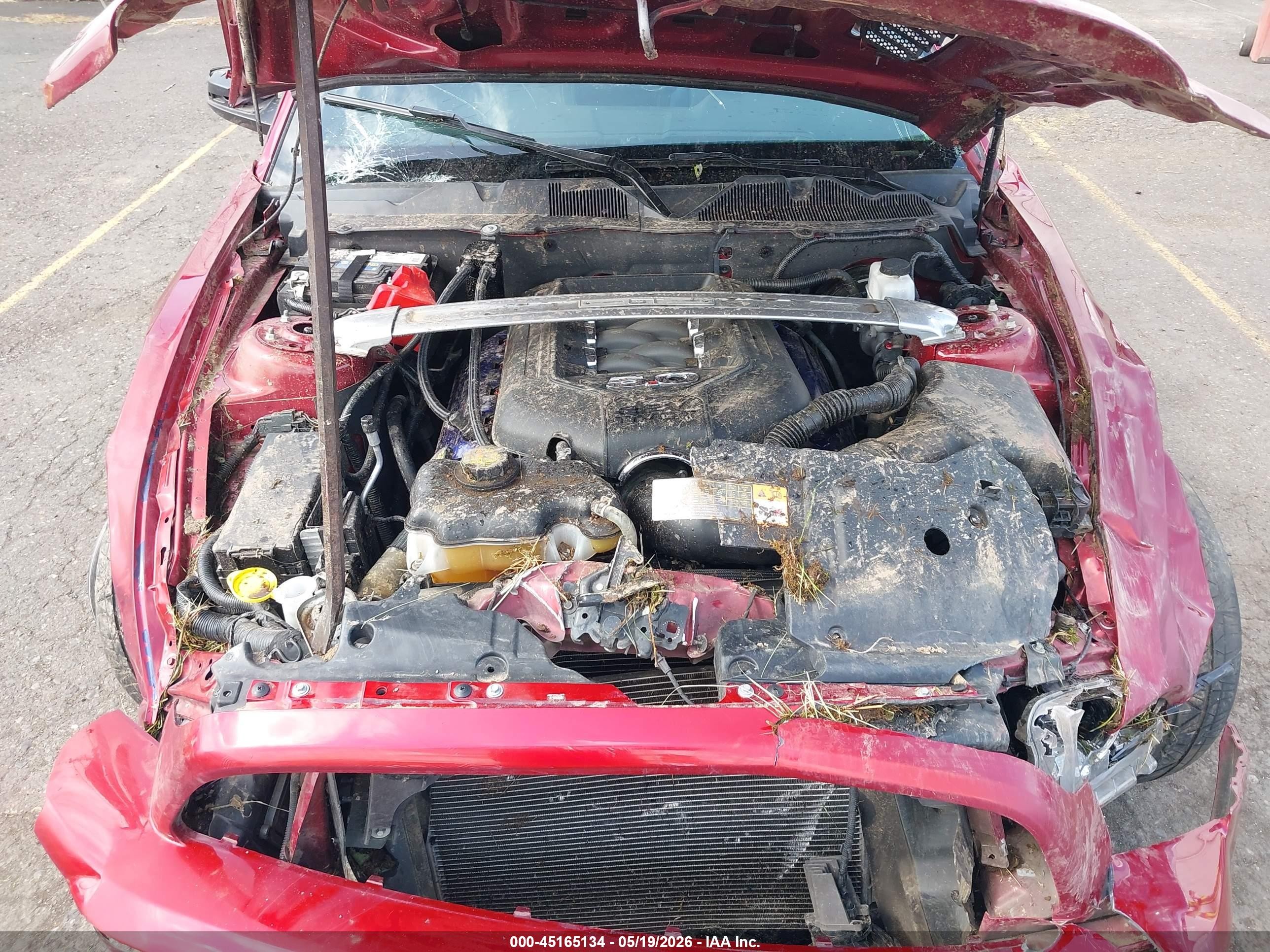 2014 Ford Mustang Gt Красный vin: 1ZVBP8CF9E5223213
