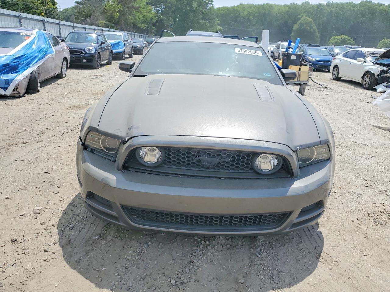 2014 Ford Mustang Gt Серый vin: 1ZVBP8CF9E5252324