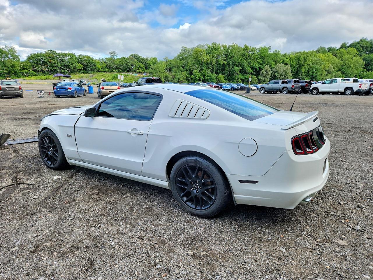 2014 Ford Mustang Gt White vin: 1ZVBP8CF9E5286294