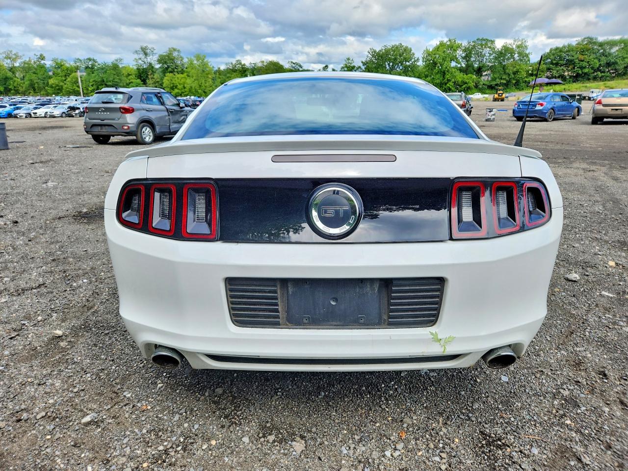 2014 Ford Mustang Gt White vin: 1ZVBP8CF9E5286294
