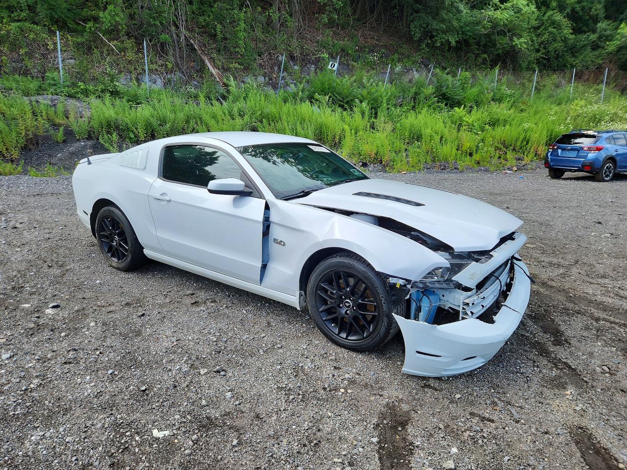 2014 Ford Mustang Gt White vin: 1ZVBP8CF9E5286294