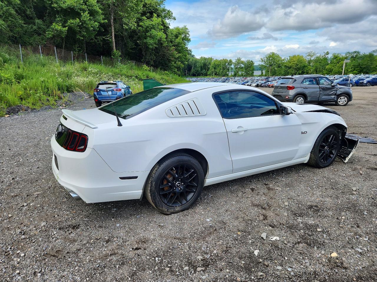 2014 Ford Mustang Gt White vin: 1ZVBP8CF9E5286294