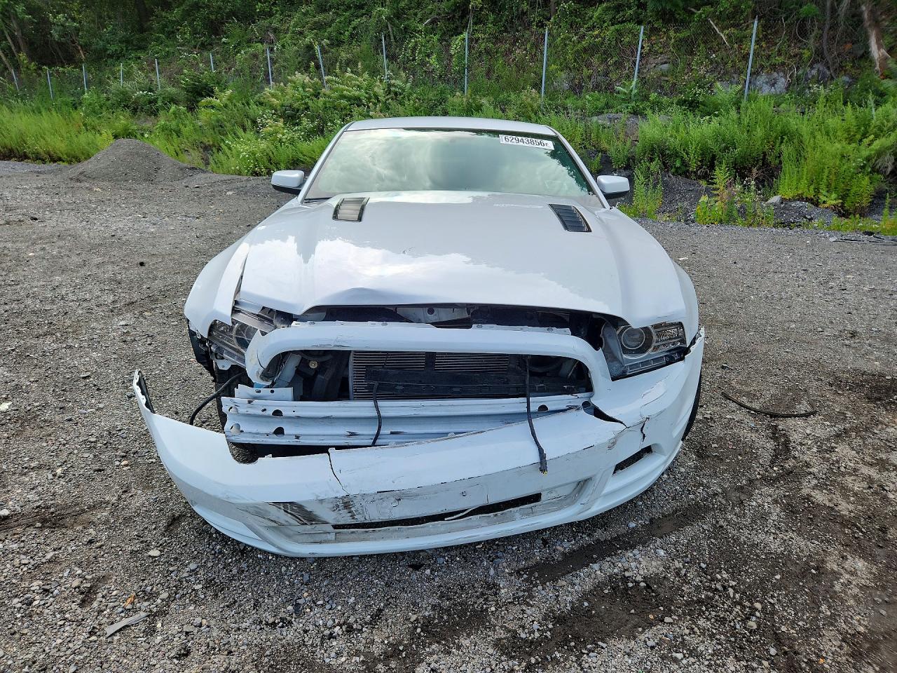 2014 Ford Mustang Gt White vin: 1ZVBP8CF9E5286294