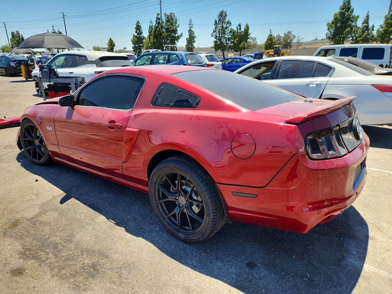2014 Ford Mustang Gt Burgundy vin: 1ZVBP8CF9E5293116