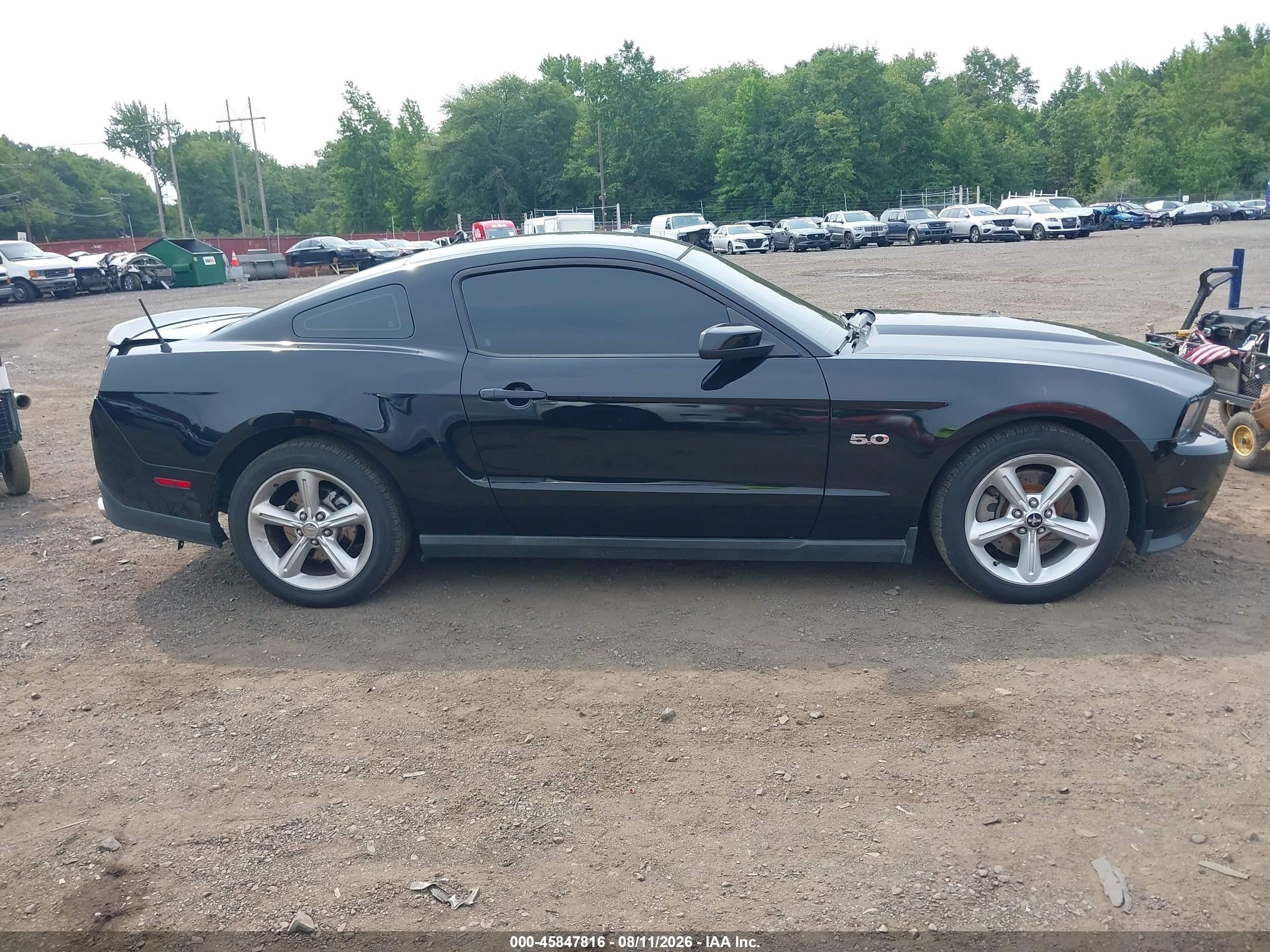 2011 Ford Mustang Gt Black vin: 1ZVBP8CFXB5130728