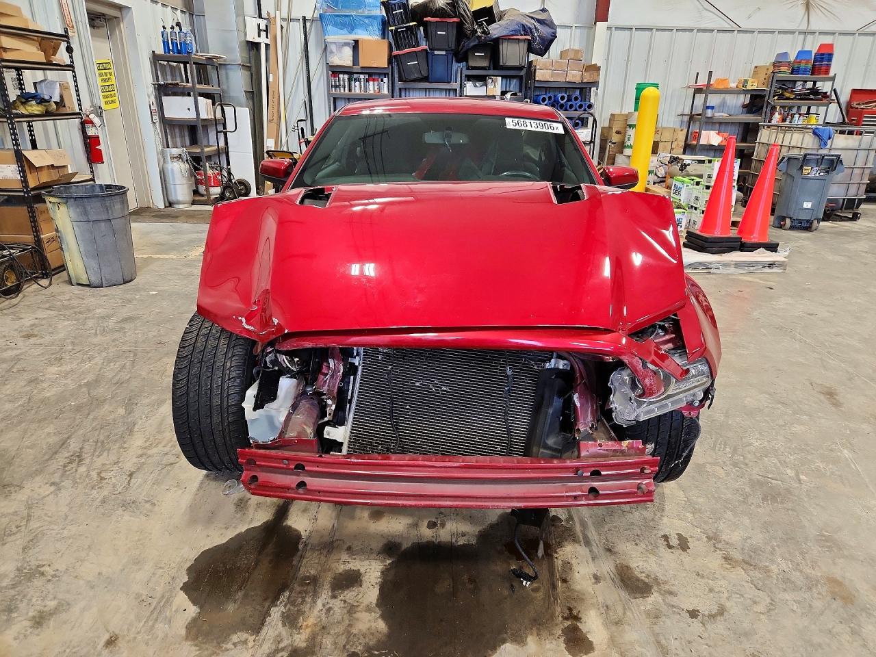 2013 Ford Mustang Gt Red vin: 1ZVBP8CFXD5216141
