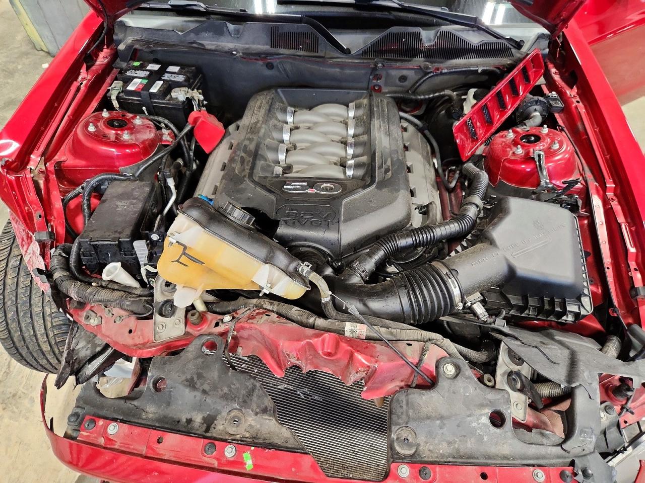 2013 Ford Mustang Gt Red vin: 1ZVBP8CFXD5216141