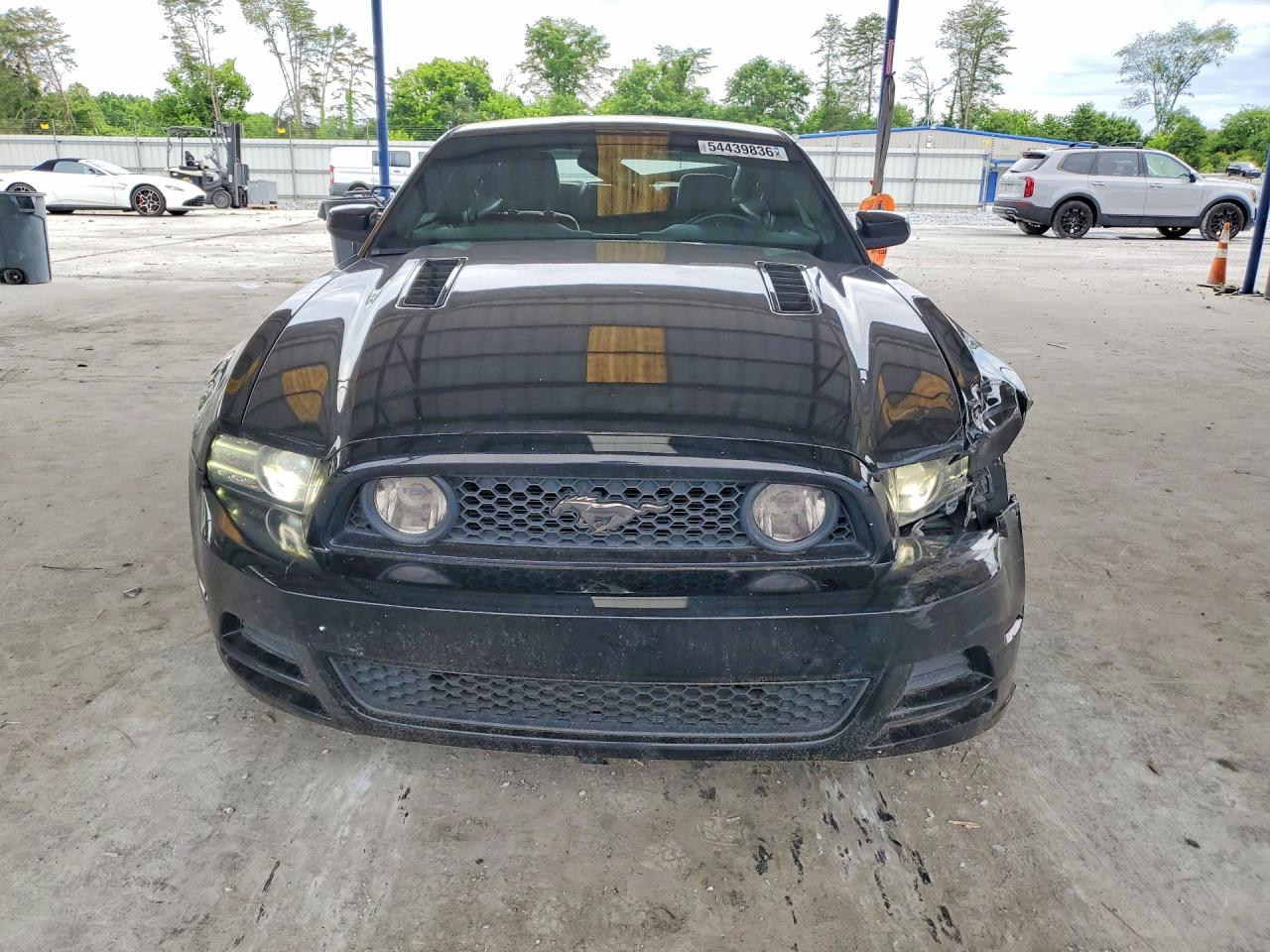 2014 Ford Mustang Black vin: 1ZVBP8CFXE5243437