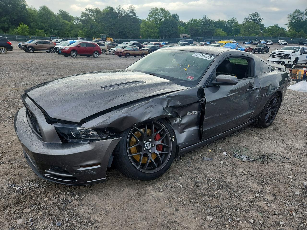 2014 Ford Mustang Gt Gray vin: 1ZVBP8CFXE5283565