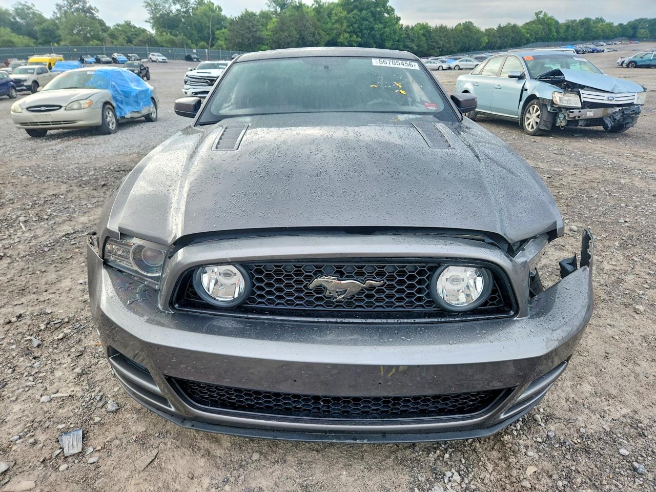 2014 Ford Mustang Gt Gray vin: 1ZVBP8CFXE5283565
