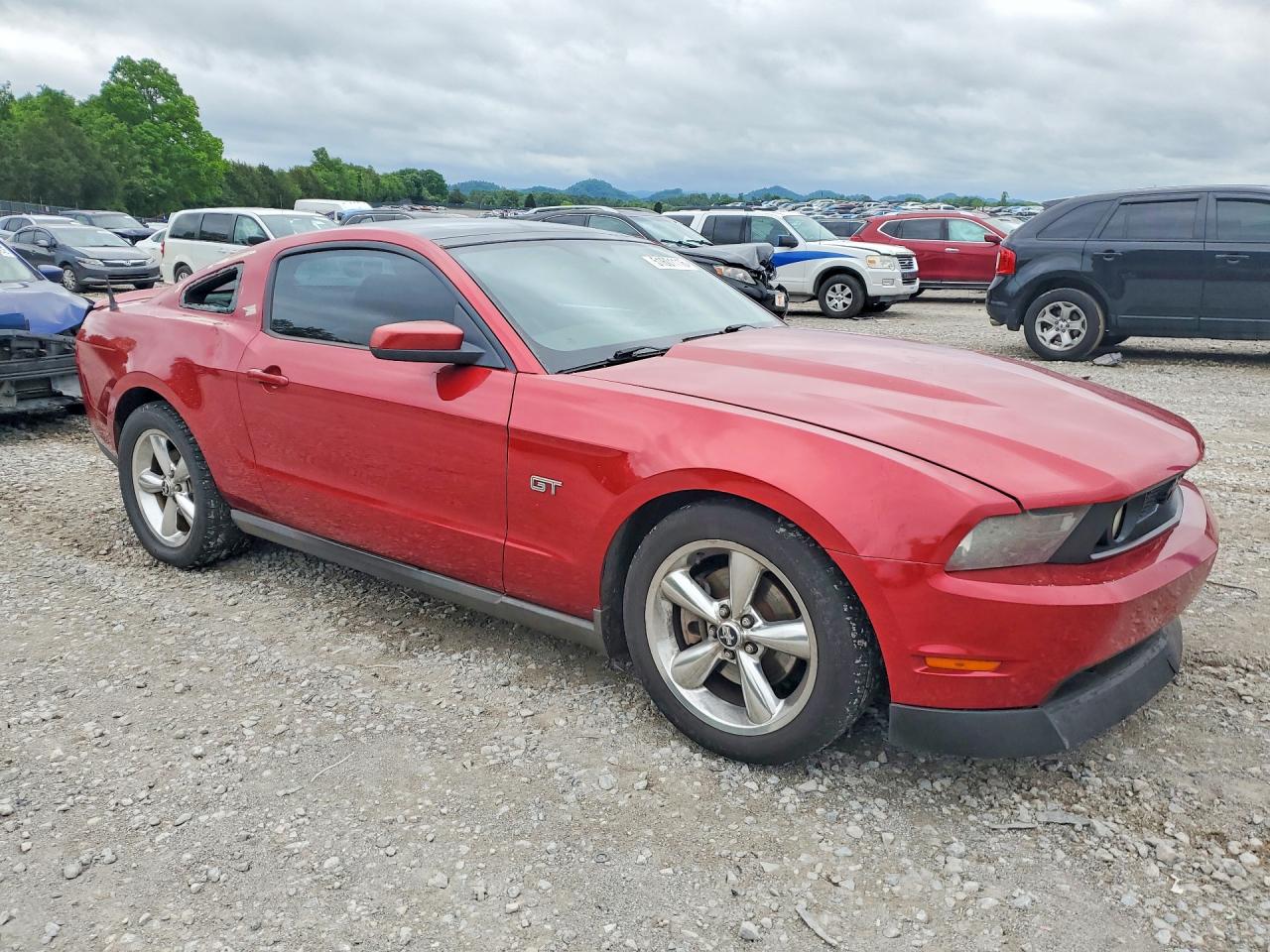 2010 Ford Mustang Gt Красный vin: 1ZVBP8CH5A5135822