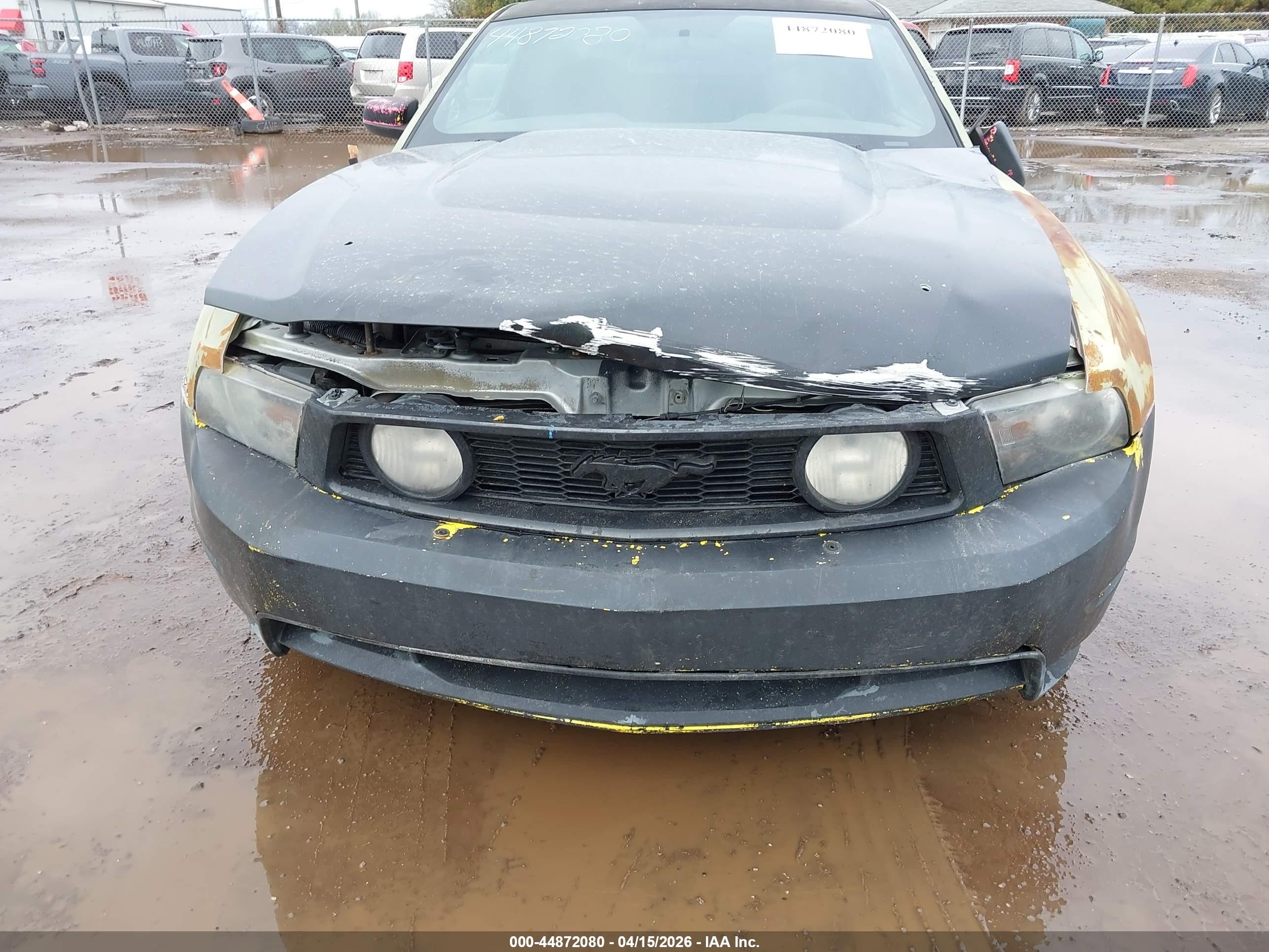 2010 Ford Mustang Gt/gt Premium Зеленый vin: 1ZVBP8CH6A5180252