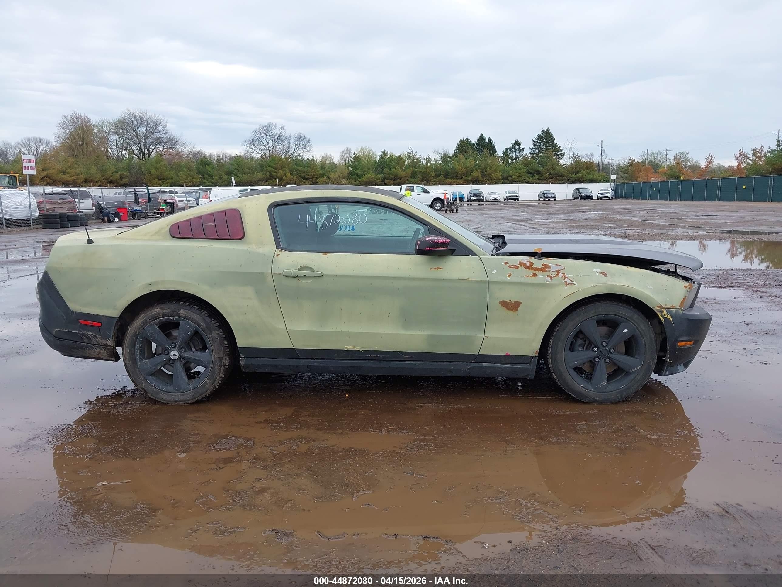 2010 Ford Mustang Gt/gt Premium Зеленый vin: 1ZVBP8CH6A5180252