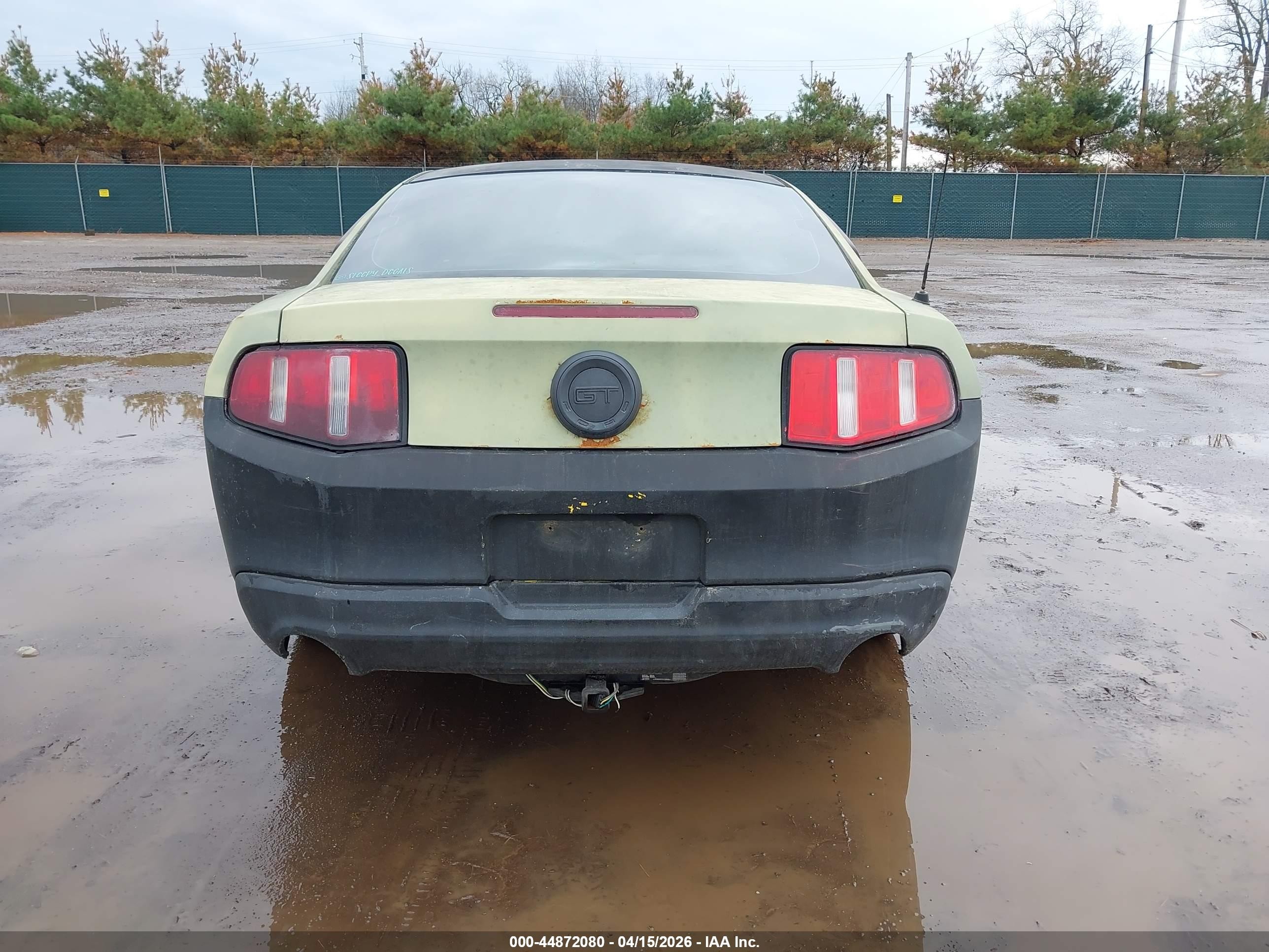 2010 Ford Mustang Gt/gt Premium Зеленый vin: 1ZVBP8CH6A5180252