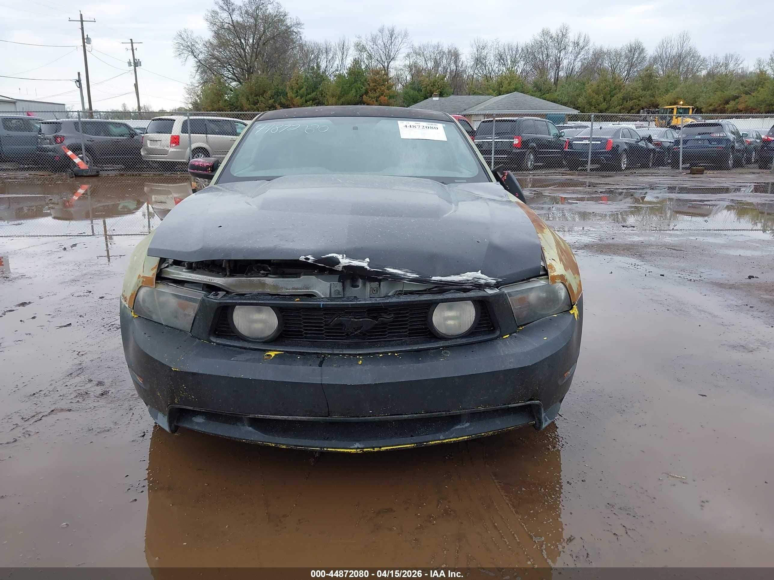 2010 Ford Mustang Gt/gt Premium Зеленый vin: 1ZVBP8CH6A5180252