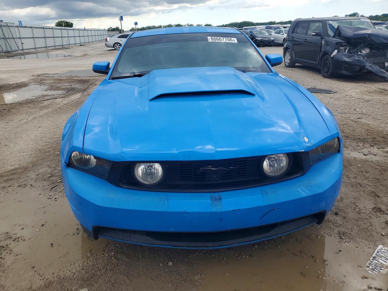 2010 Ford Mustang Gt Blue vin: 1ZVBP8CH7A5116611