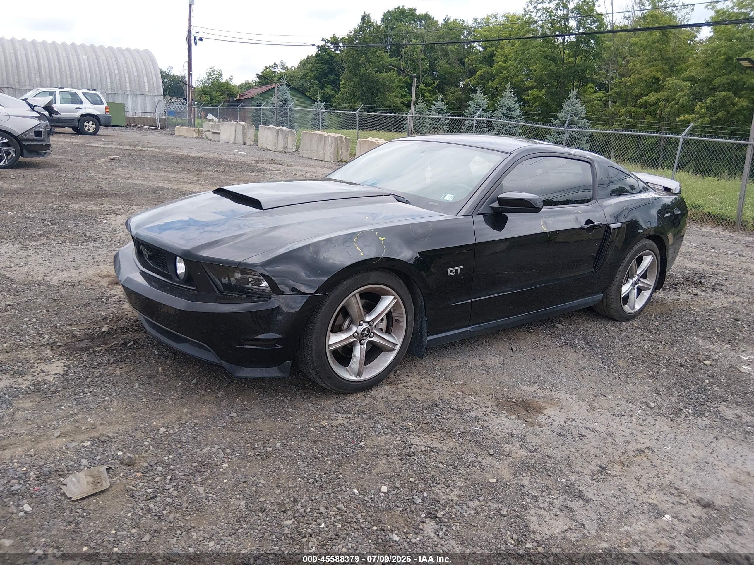 2010 Ford Mustang Gt/gt Premium Black vin: 1ZVBP8CH7A5173178