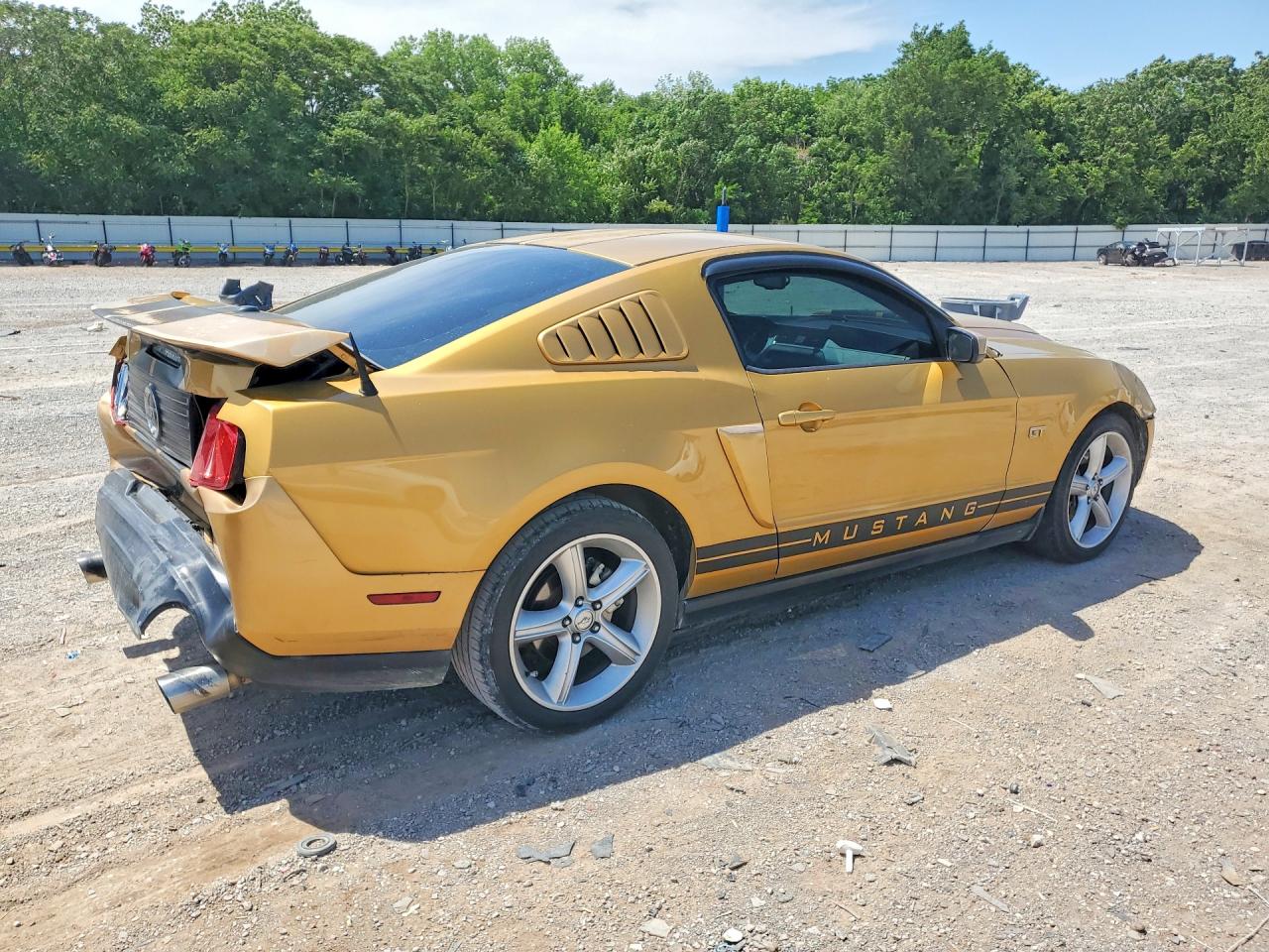 2010 Ford Mustang Gt Gold vin: 1ZVBP8CH9A5115833